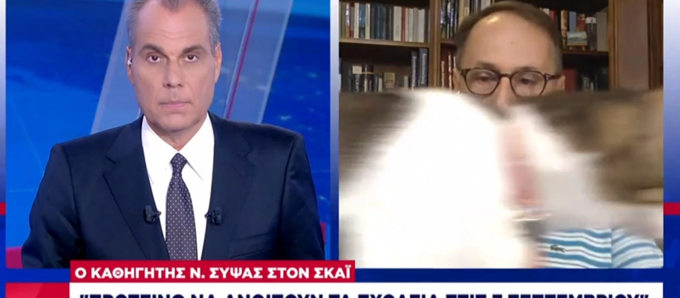 Ήθελε… δημοσιότητα η γάτα του καθηγητή Σύψα! (βίντεο)